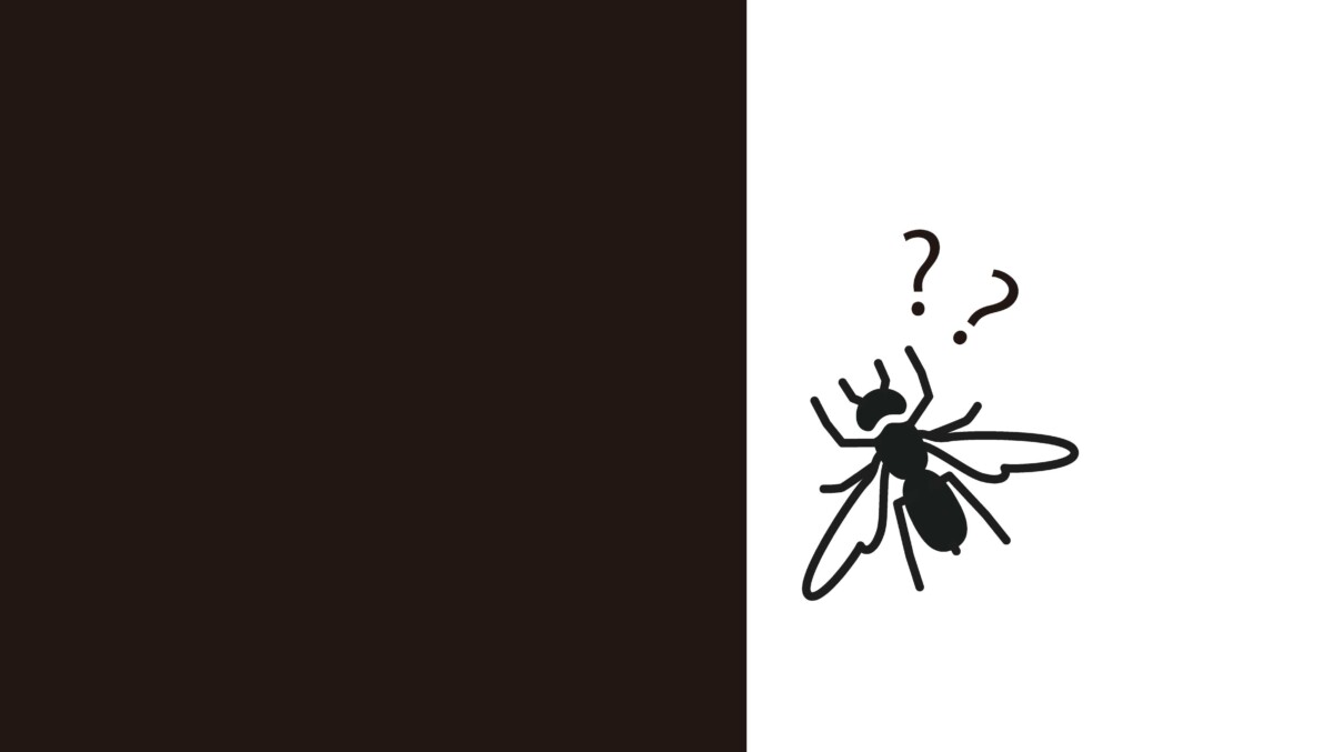 防虫についてサムネ