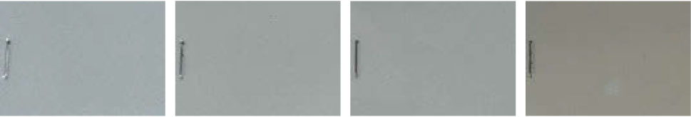 促進耐候性試験ソーラークリアS