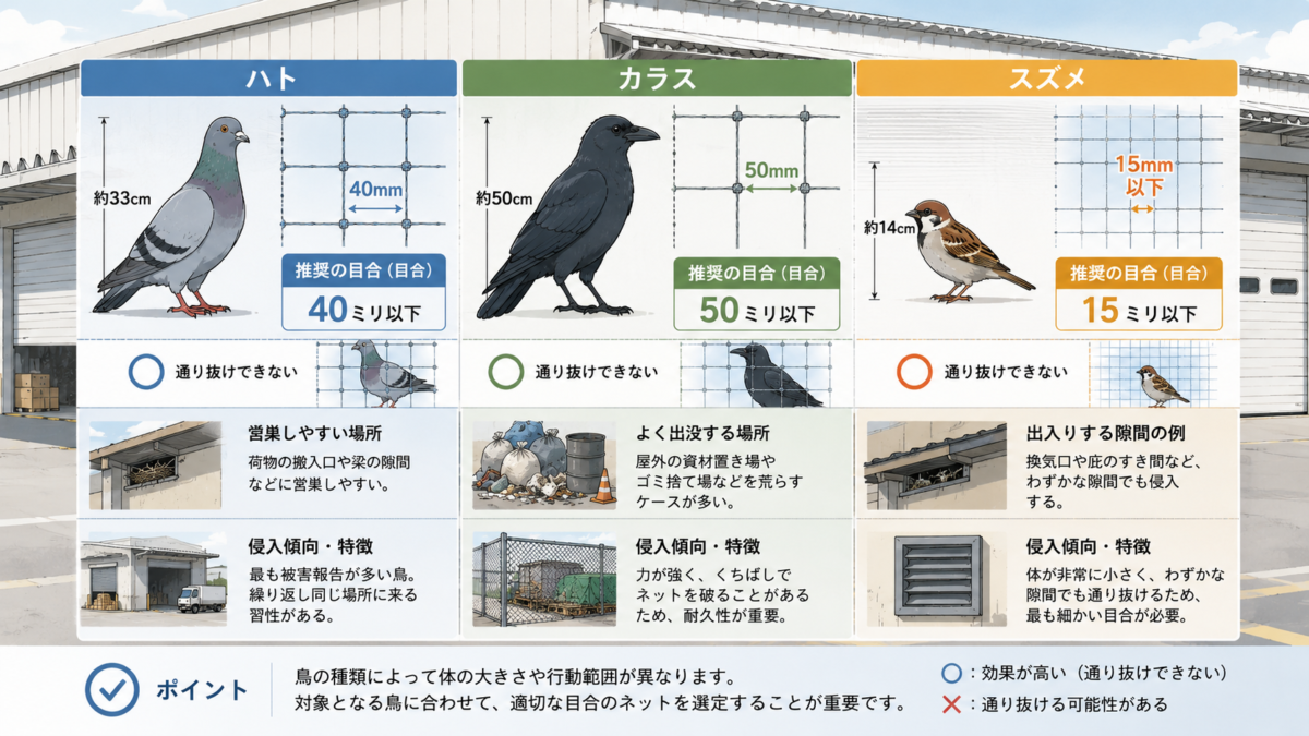 bird-net-choose2